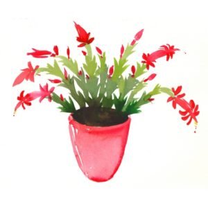 Aquarelle facile – Cactus de Noël