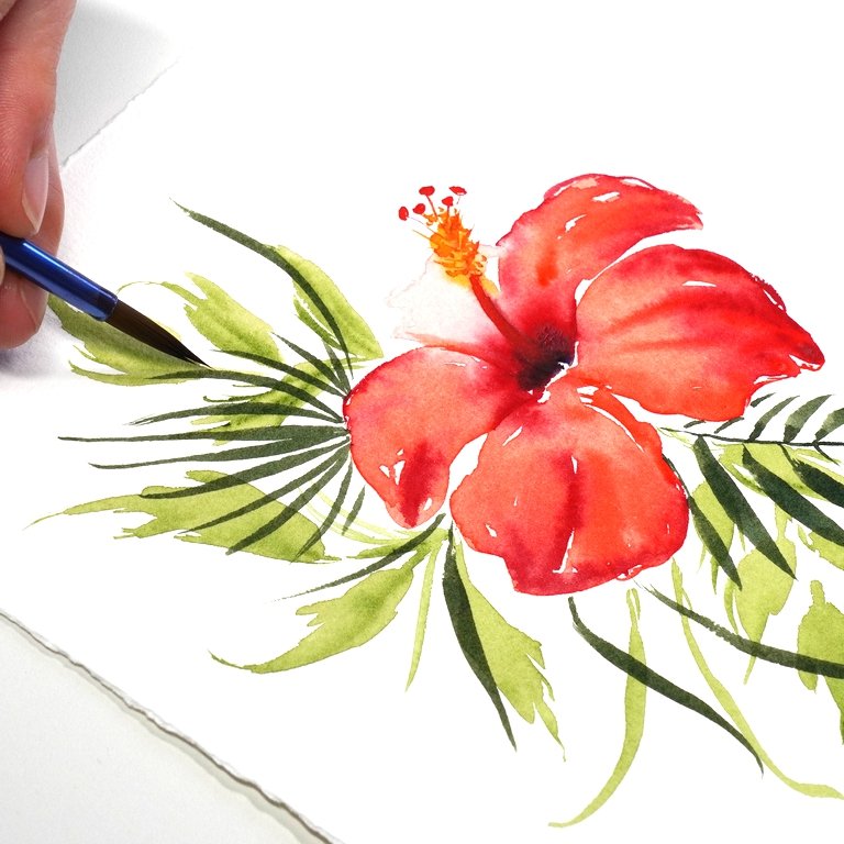 hibiscus-aquarelle
