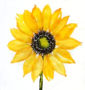Peindre un tournesol à l’aquarelle