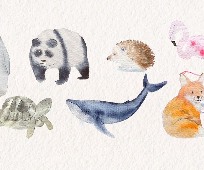 aquarelle dans l'humide