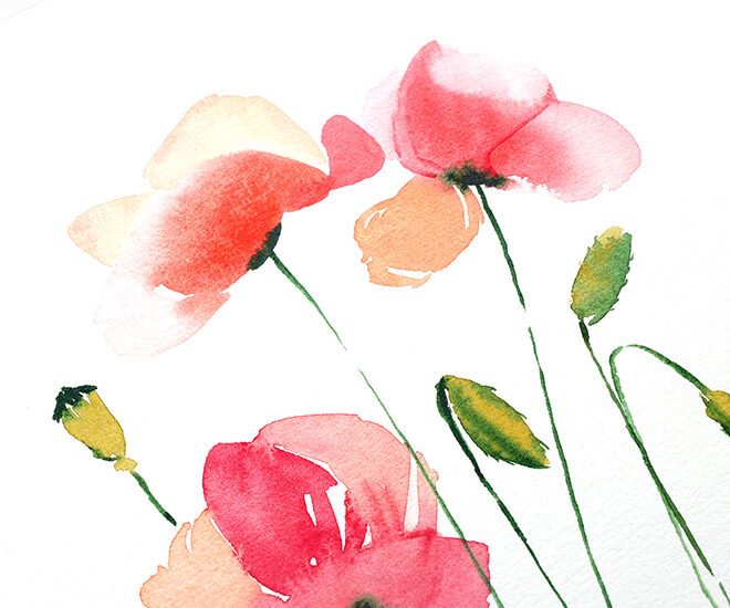 Peindre des coquelicots faciles à l’aquarelle