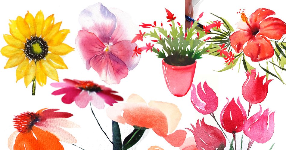 Peindre des fleurs à l&rsquo;aquarelle : 7 Tutoriels à tester !