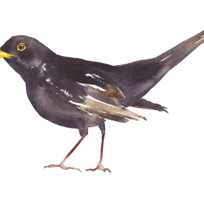 Peindre Ensemble : Rejoignez l&rsquo;événement aquarelle de l&rsquo;été !