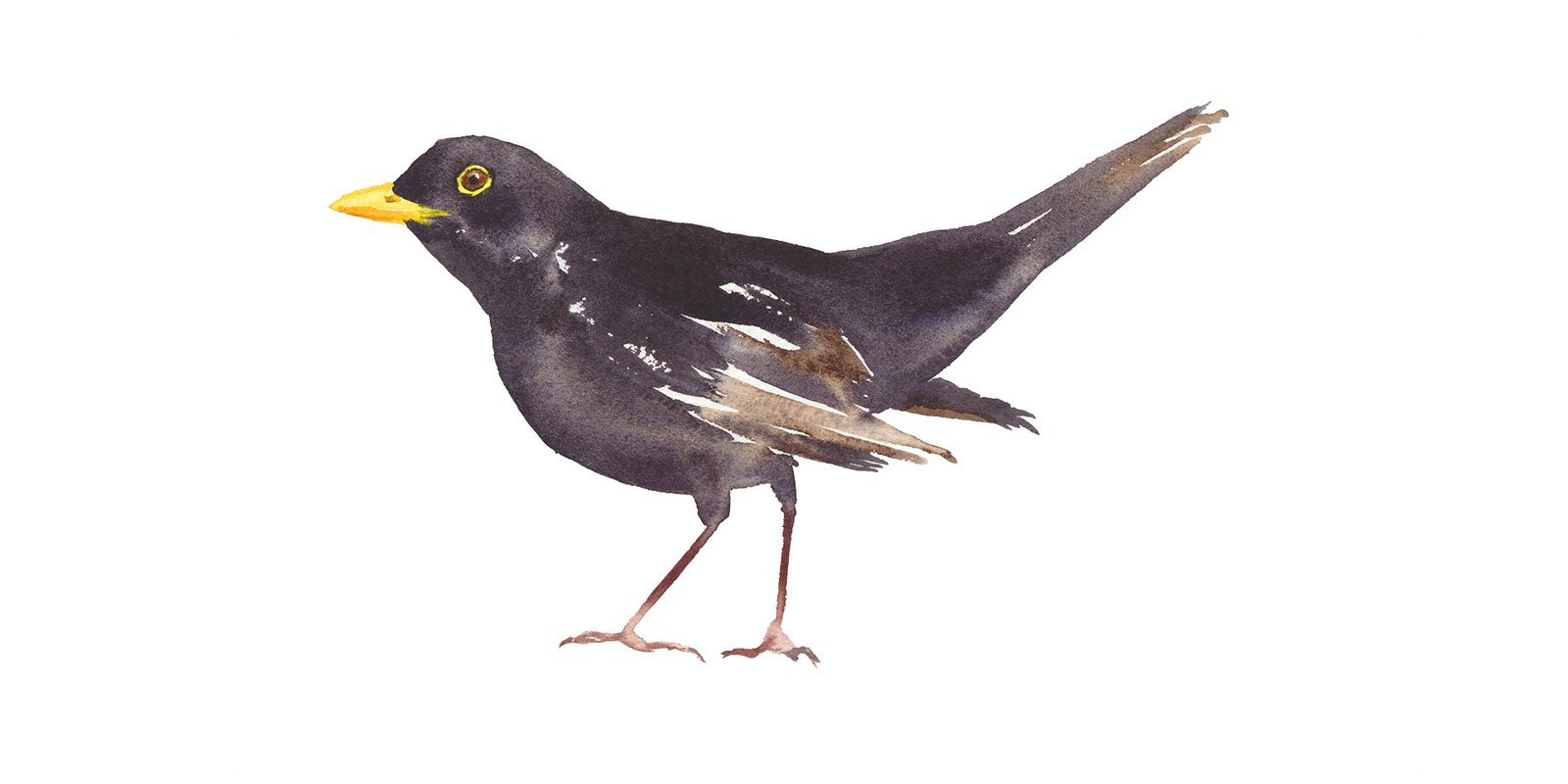 Peindre Ensemble : Rejoignez l&rsquo;événement aquarelle de l&rsquo;été !